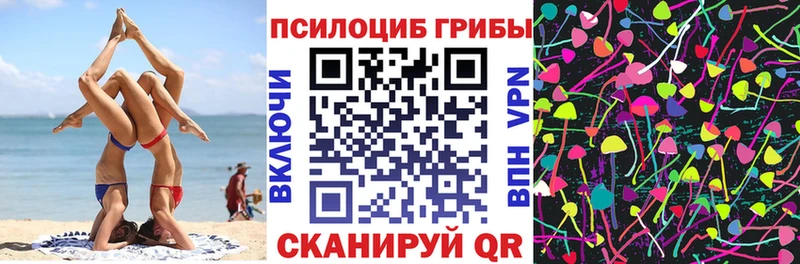 Псилоцибиновые грибы Psilocybe  Скопин 